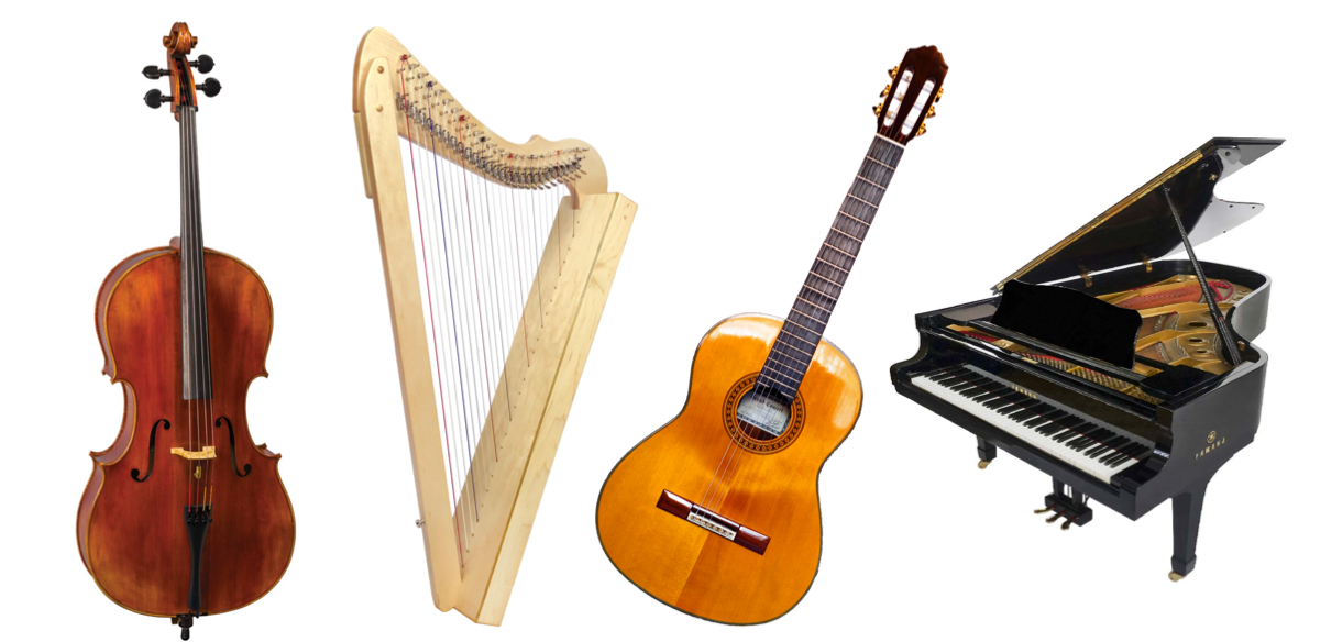 stringed instruments